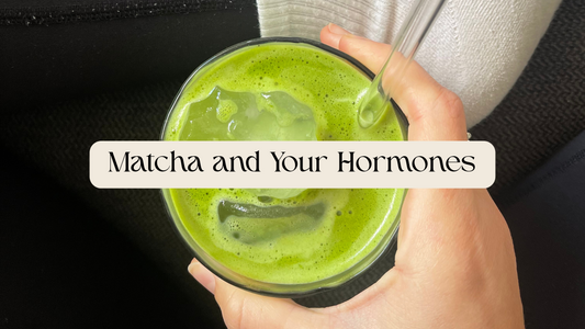 Matcha and Hormones: What the Research Says